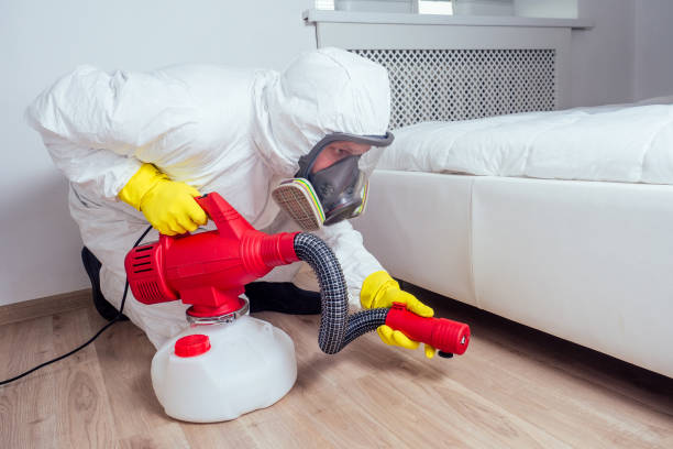Best Wasp Removal Services  in Lely Resort, FL
