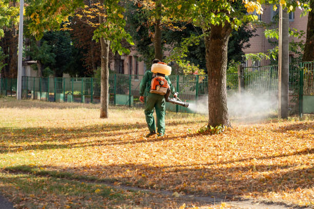 Trusted Lely Resort, FL Pest Control Experts