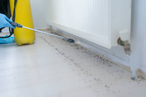 Best Pest Control Near Me in Lely Resort, FL